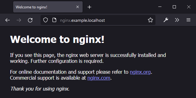 nginx example