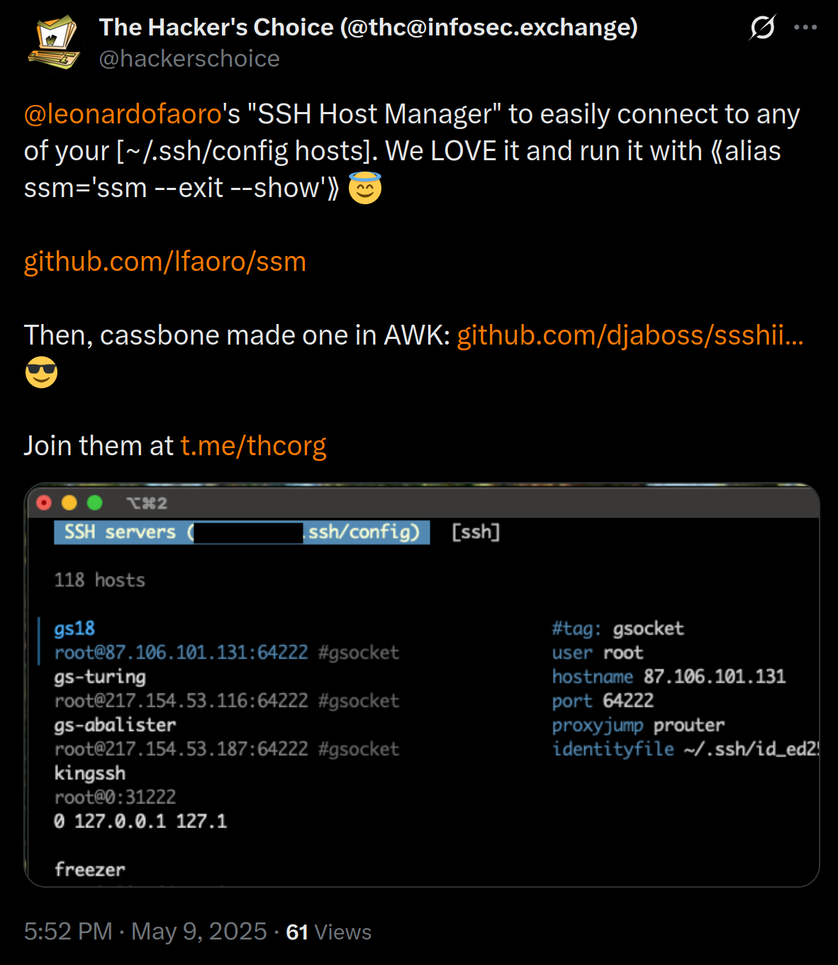 ssm terminal interface showing host list