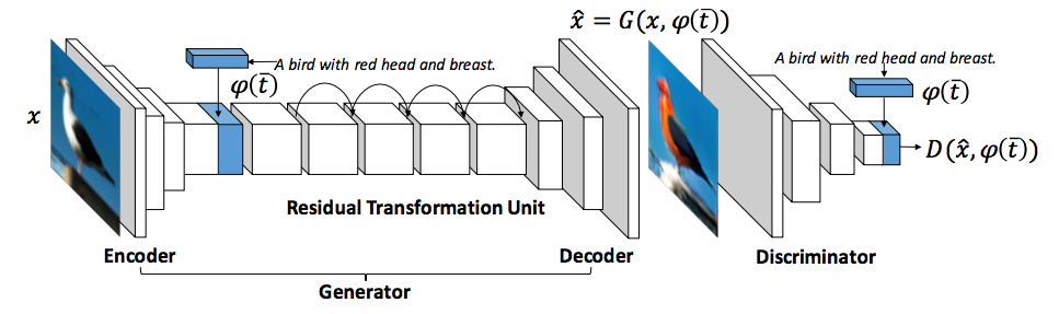 Model architecture