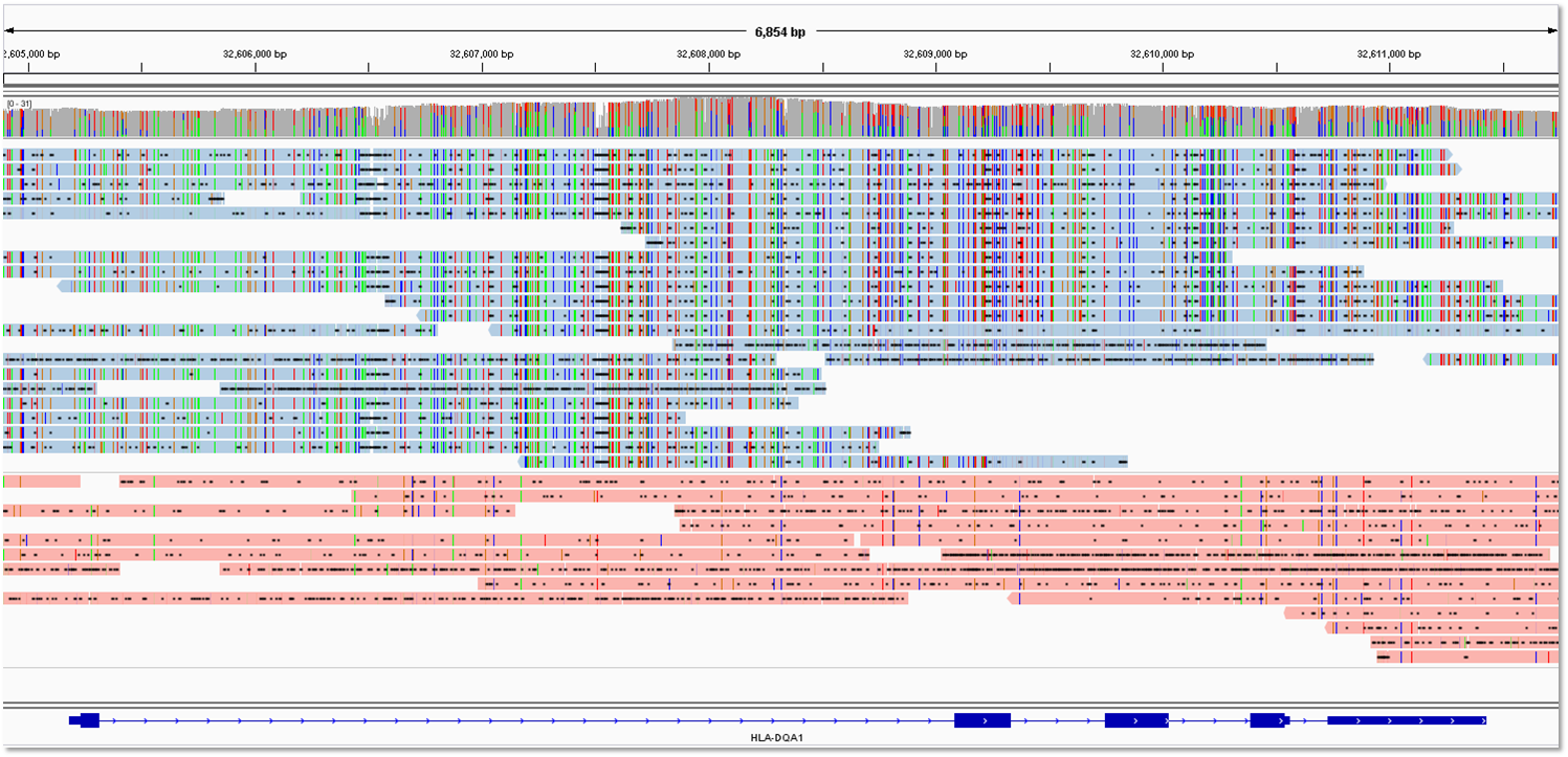 Visualizing phasing in IGV