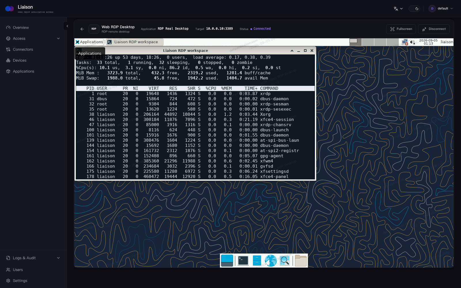 An RDP desktop opened in Liaison