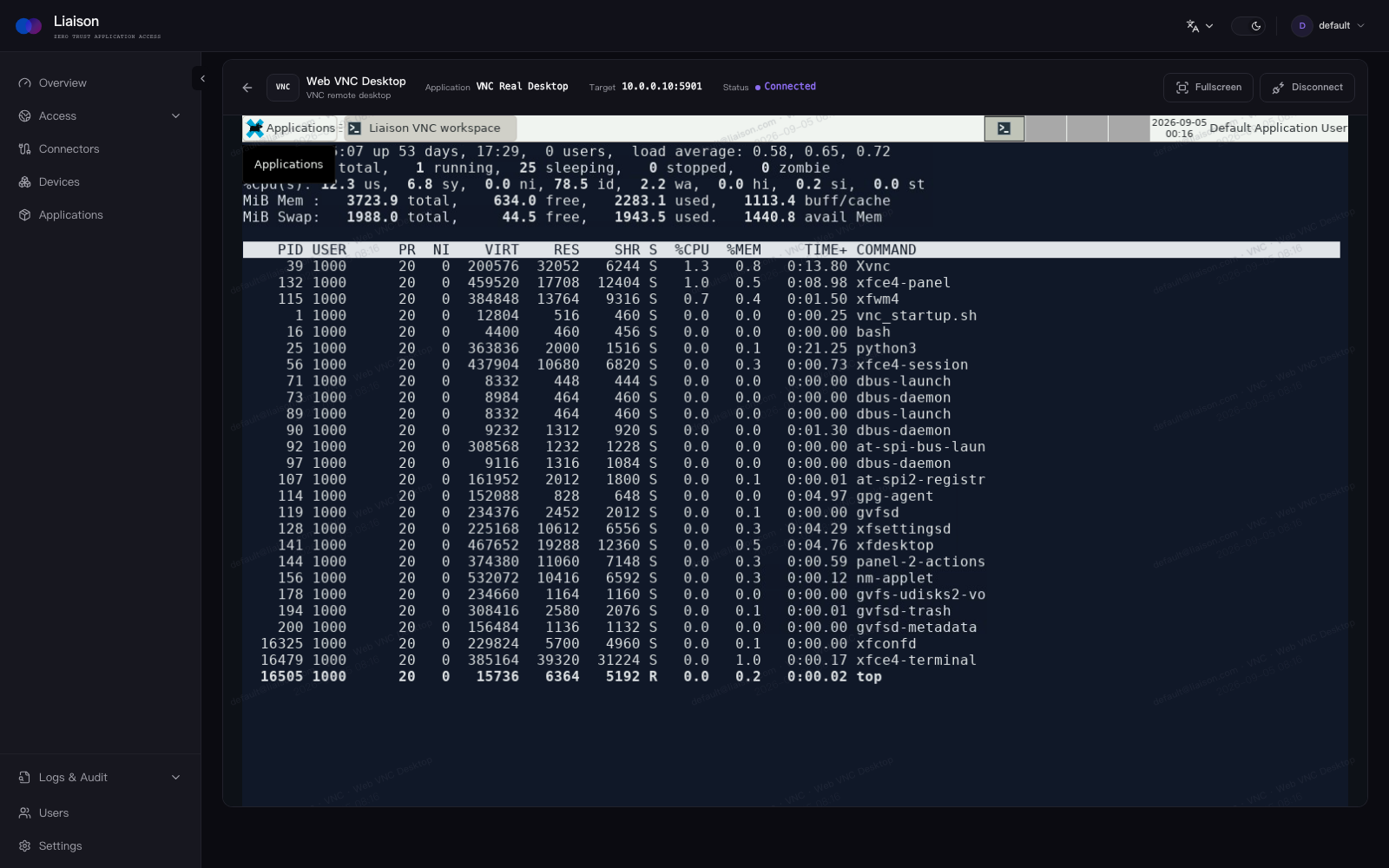 A VNC desktop opened in Liaison
