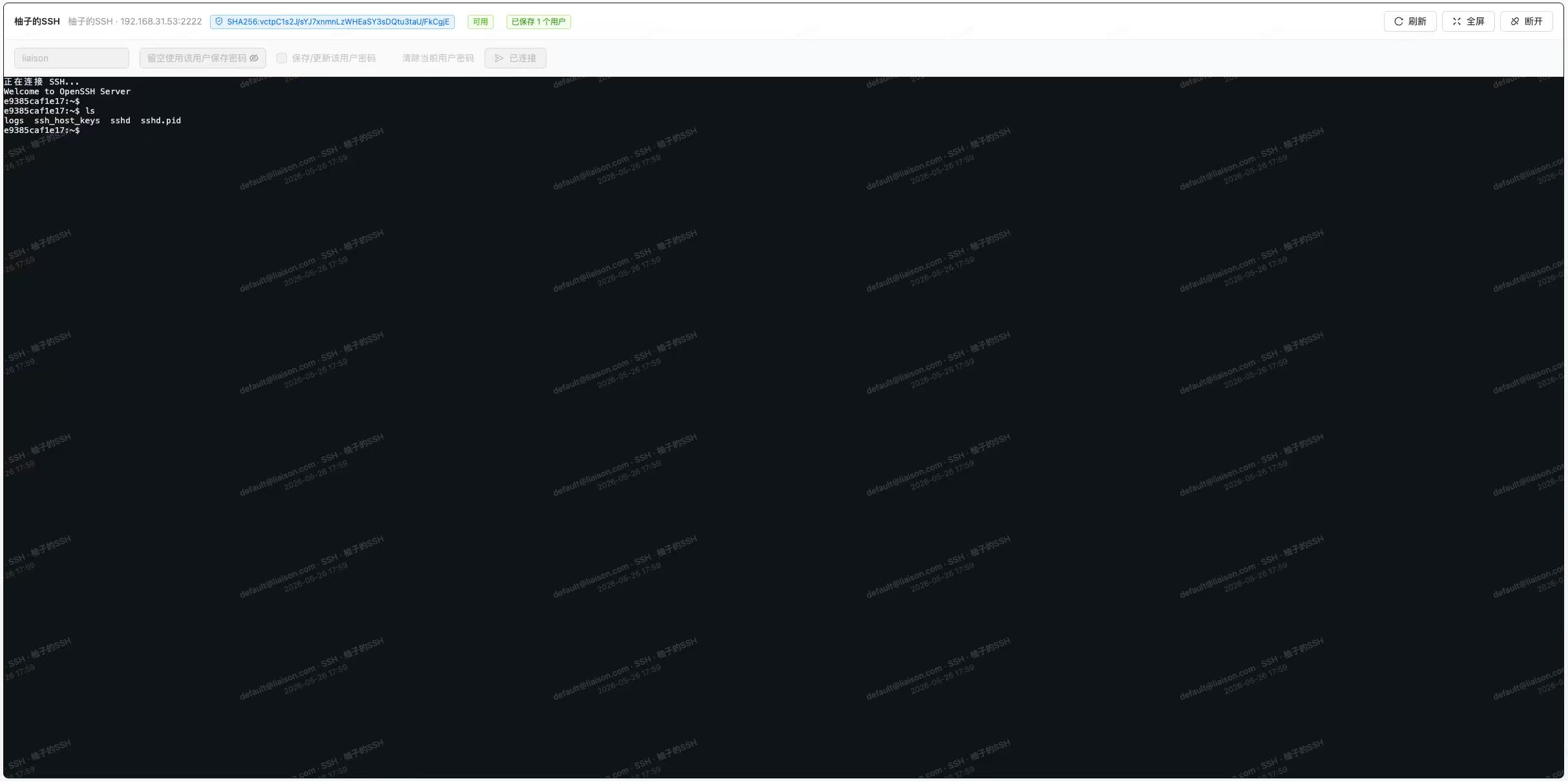 WebSSH