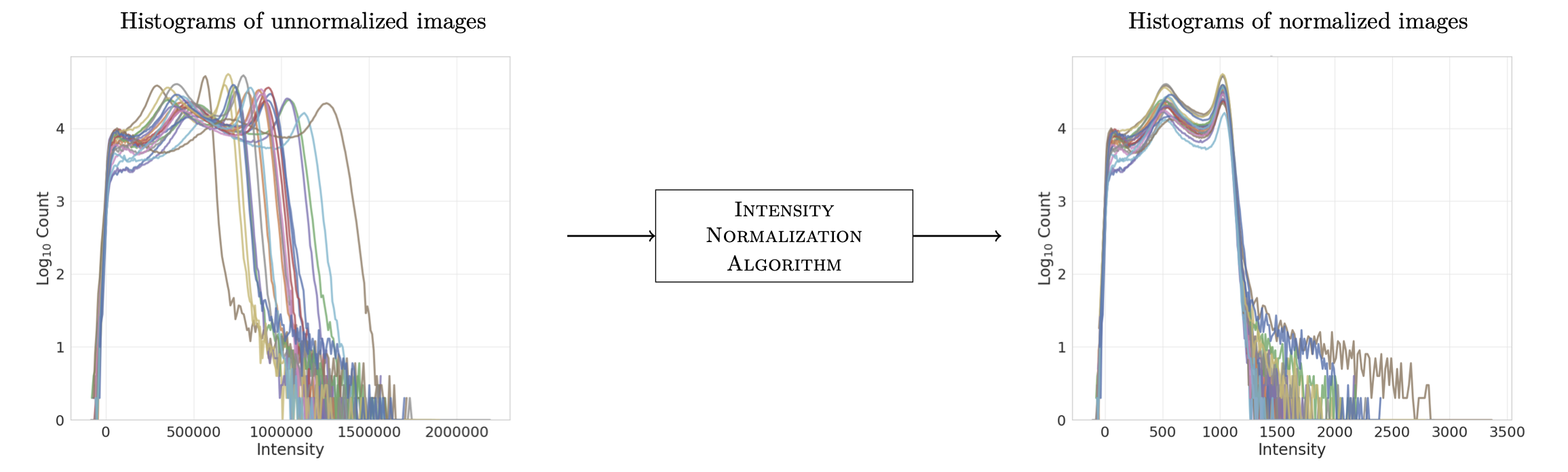 Example normalization