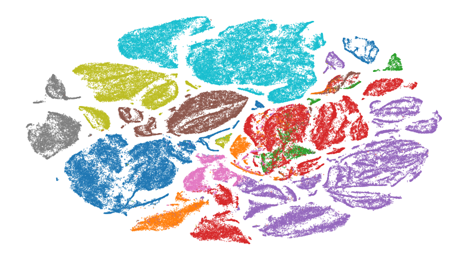 Zeisel 2018 mouse nervous system t-SNE embedding