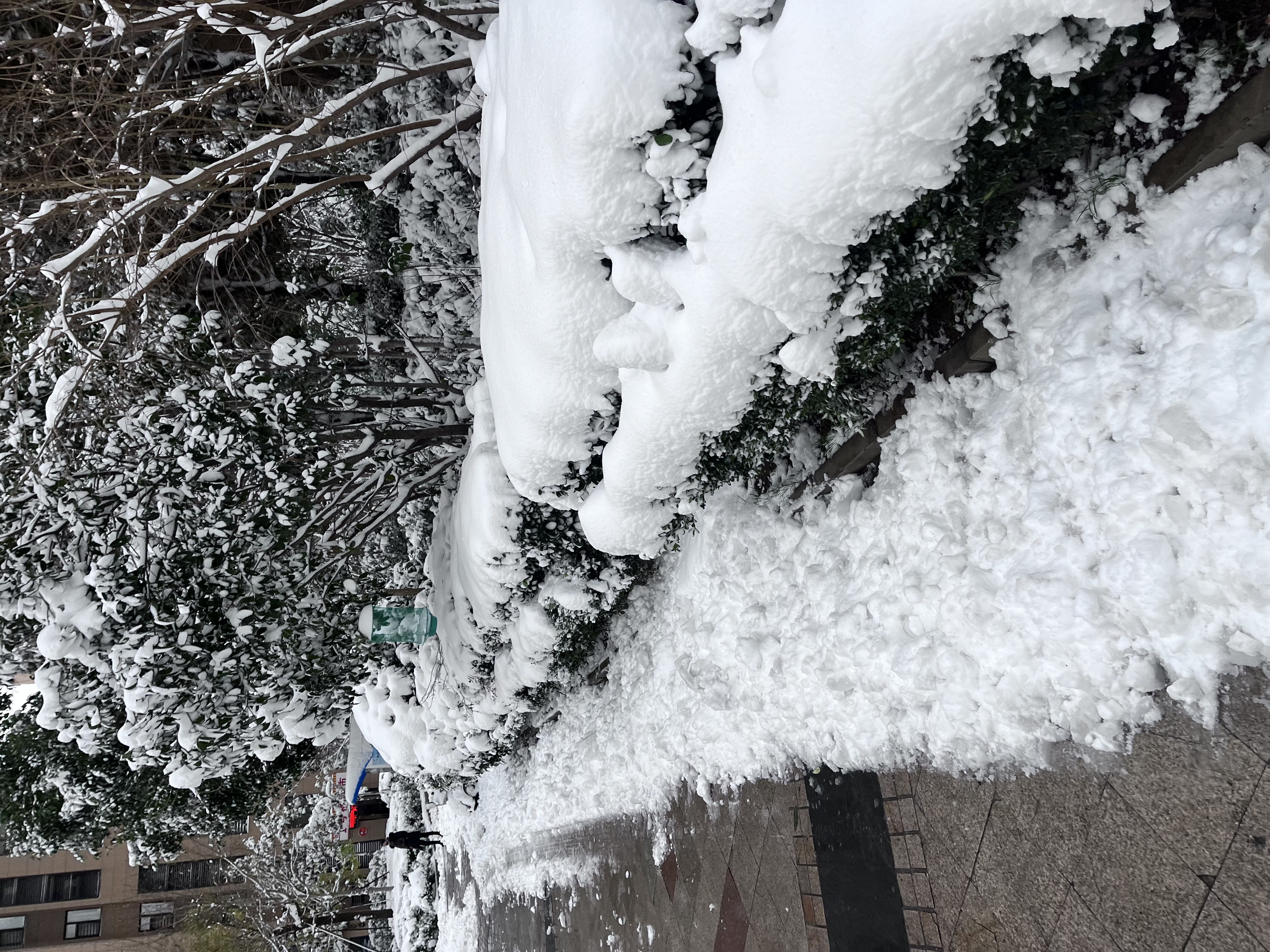 好白的雪