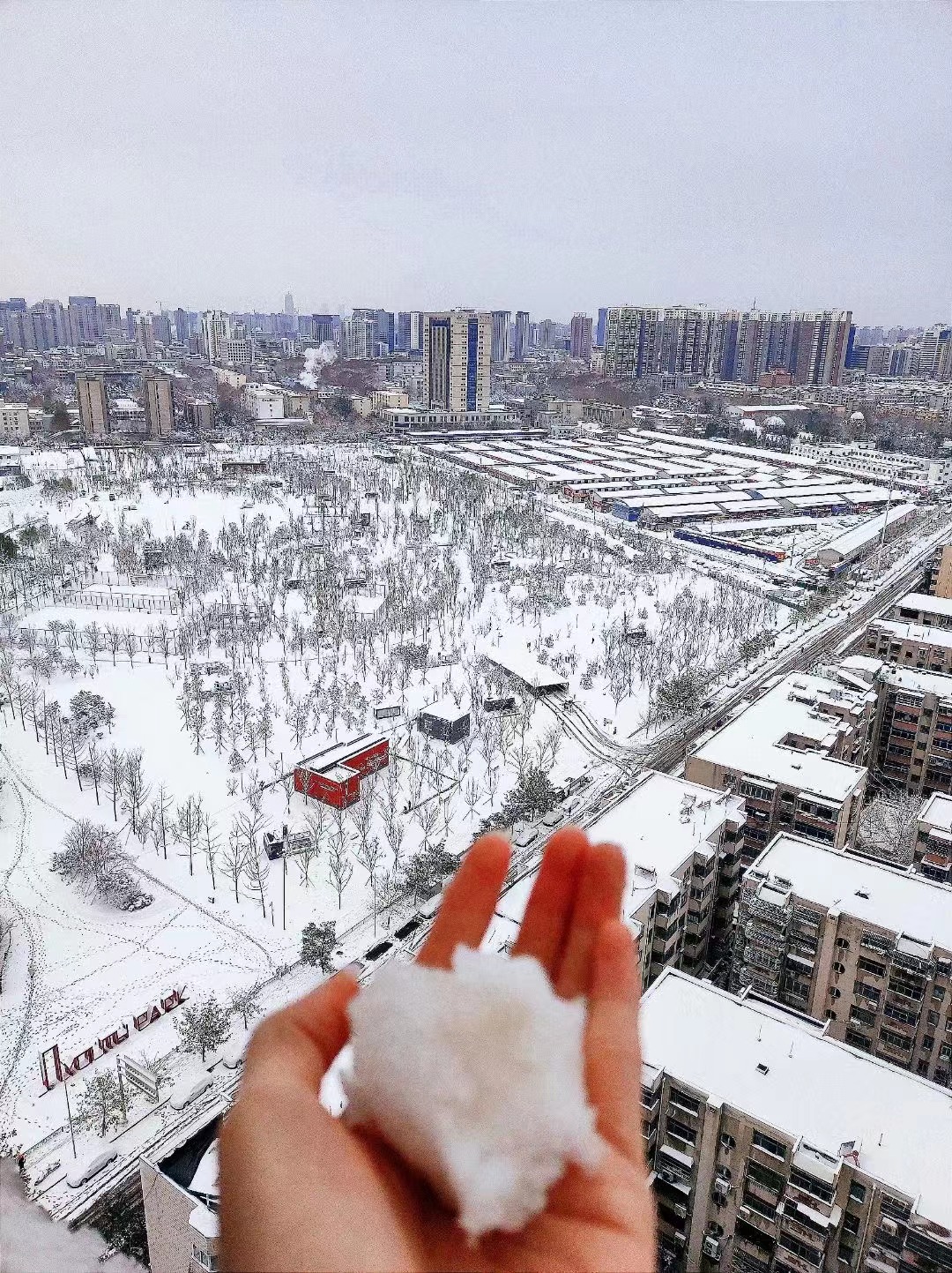 白雪皑皑