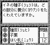screenshot (jp)