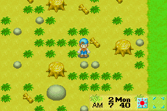 screenshot (us)