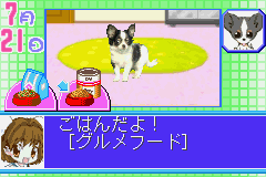 screenshot (jp)