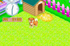 screenshot (jp)