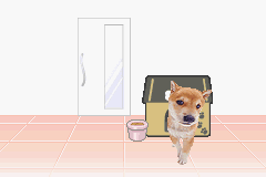 screenshot (jp)