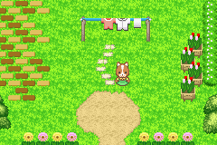 screenshot (jp)