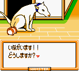 screenshot (jp)