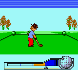 Hole in One Golf (Rumble Version) (SGB Enhanced) (GB Compatible)