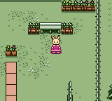 screenshot (jp)