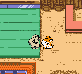 screenshot (jp)