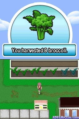 screenshot (us)