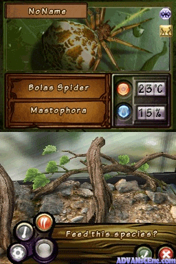 screenshot (us)