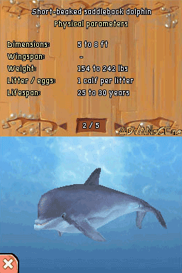 screenshot (eu)