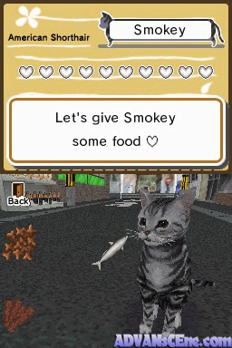 screenshot (jp)