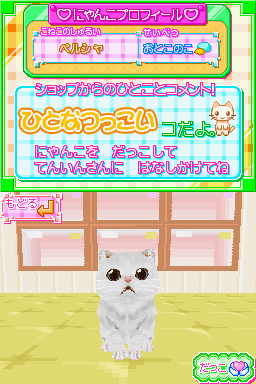 screenshot (jp)