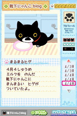 screenshot (jp)