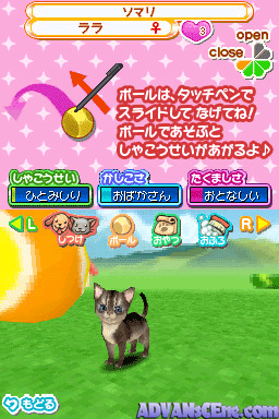 screenshot (jp)