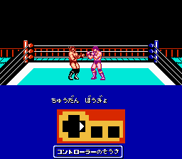 screenshot (jp)