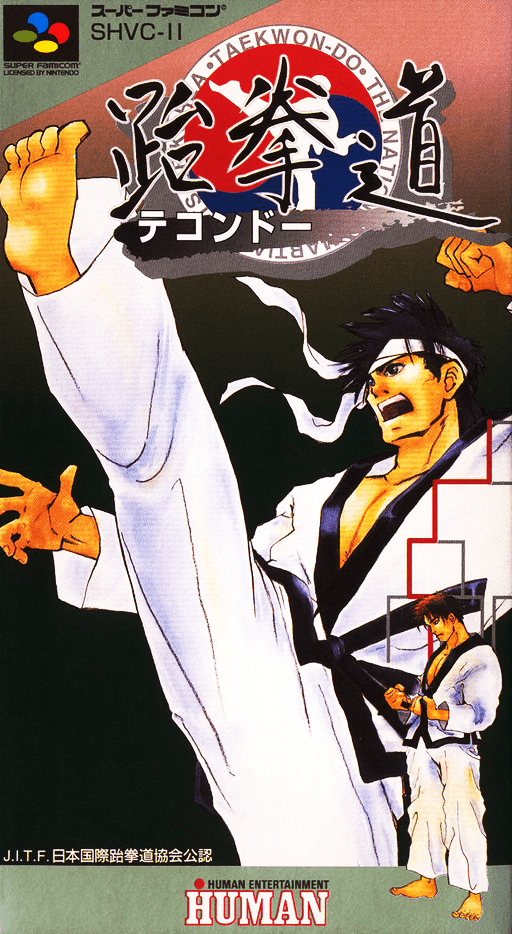Taekwon-Do SNES cover art reference for custom cartridge, NTSC-J version.