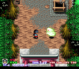 Pocky _ Rocky (USA, Europe)