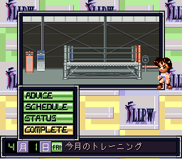 screenshot (jp)