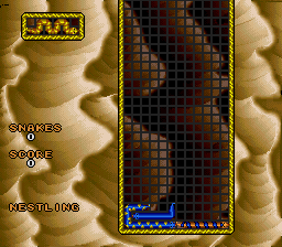 Wild Snake