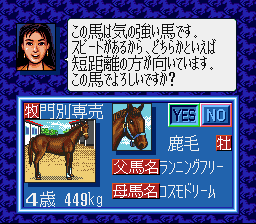 screenshot (jp)