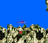 Ecco the Dolphin (USA, Europe)