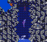 Ecco the Dolphin II