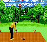 Ernie Els Golf (En,Fr,De,Es,It)