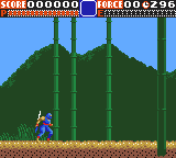 Ninja Gaiden