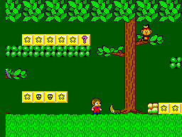 Alex Kidd in Miracle World 2 (World)