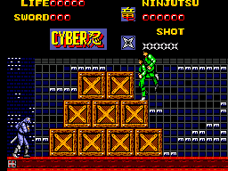 Cyber Shinobi, The
