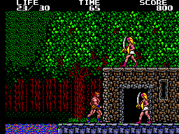 Gameplay of Danan - The Jungle Fighter
