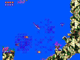 Ecco the Dolphin