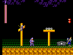 Ghouls'n Ghosts (USA, Europe)