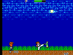 Kung Fu Kid (USA, Europe, Brazil)