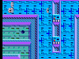 Maze Walker (Japan) (En) (Sega 3D Classics)