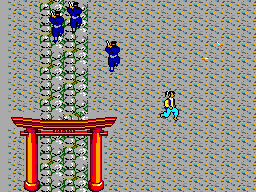 Ninja (Japan)