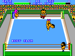 Gameplay of Pro Wrestling