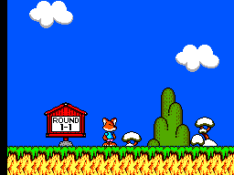 Psycho Fox (USA, Europe)