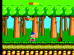 Wonder Boy (USA, Europe)