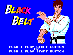 Title screen of Black Belt